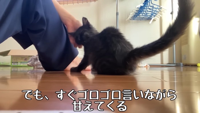 ゴロゴロ言いながら