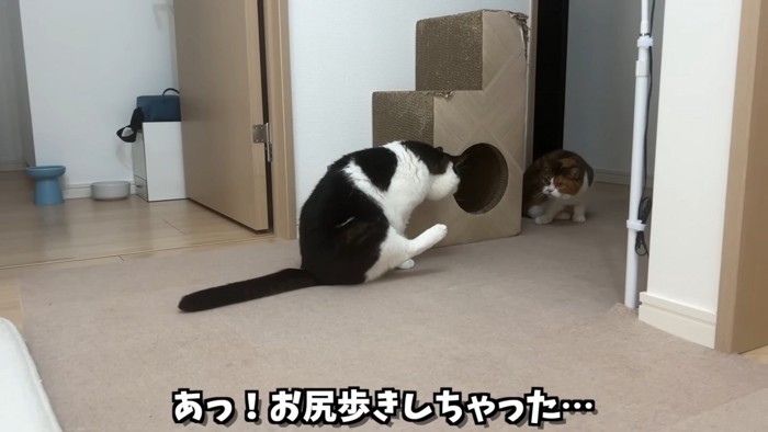 お尻歩きするうま次郎くん