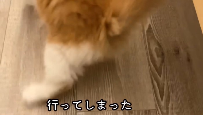 行ってしまった