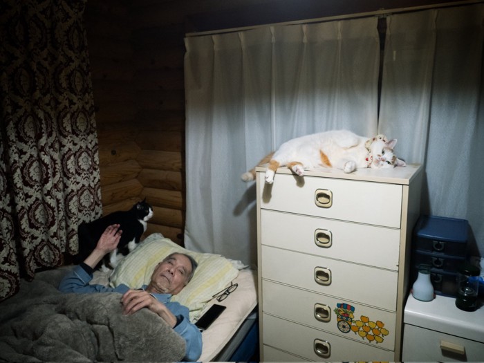 寝転がる猫とベッドに入る男性