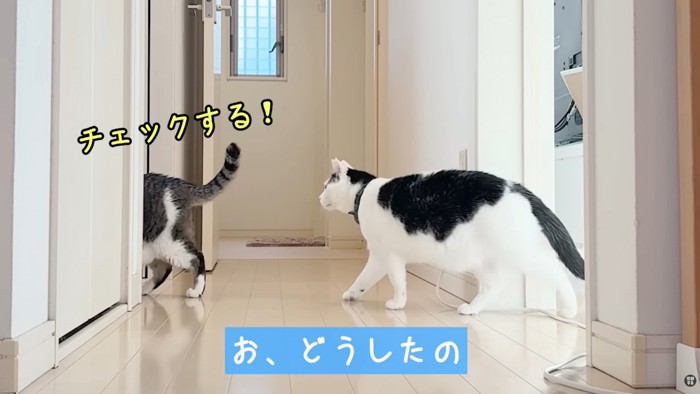 テロップ「お、どうしたの」