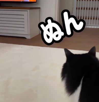 右側から後ろ姿だけ出す猫（ぬん）