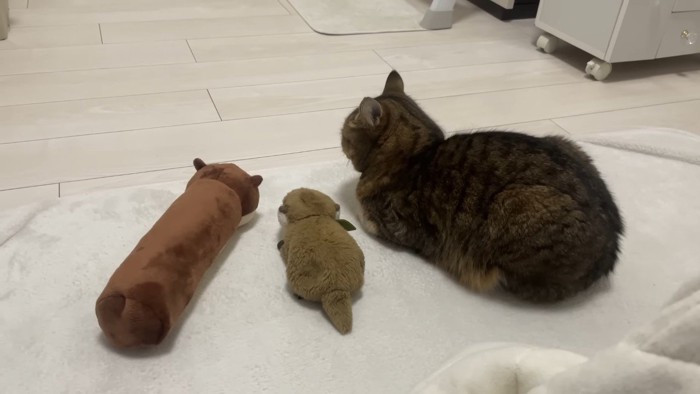 並ぶ3人(後ろから)