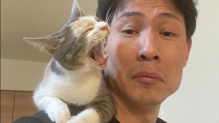 肩に乗っている猫