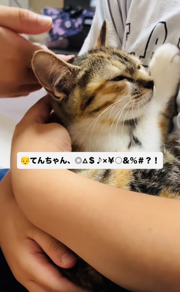 息子さんに抱っこされてママさんに撫でられる子猫