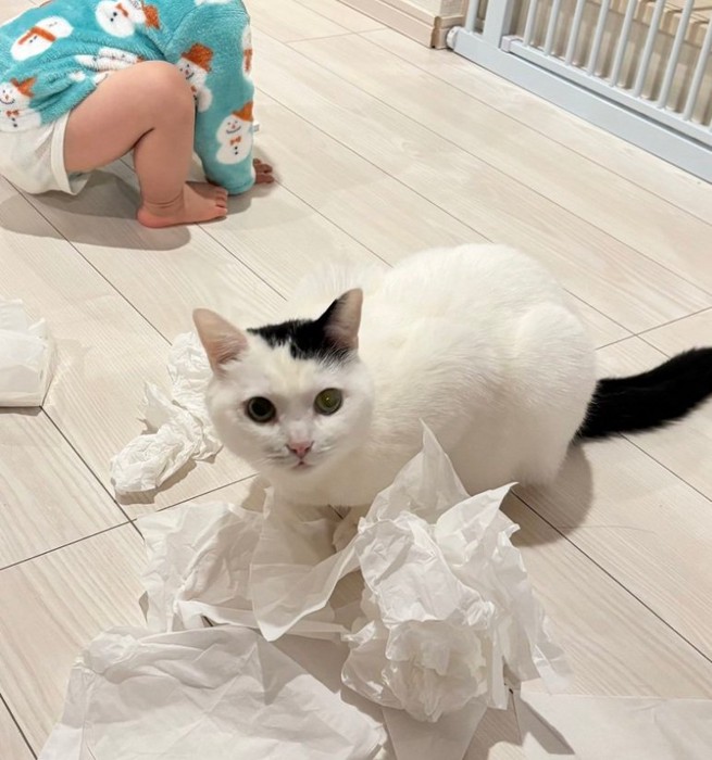 イタズラするたけるくん