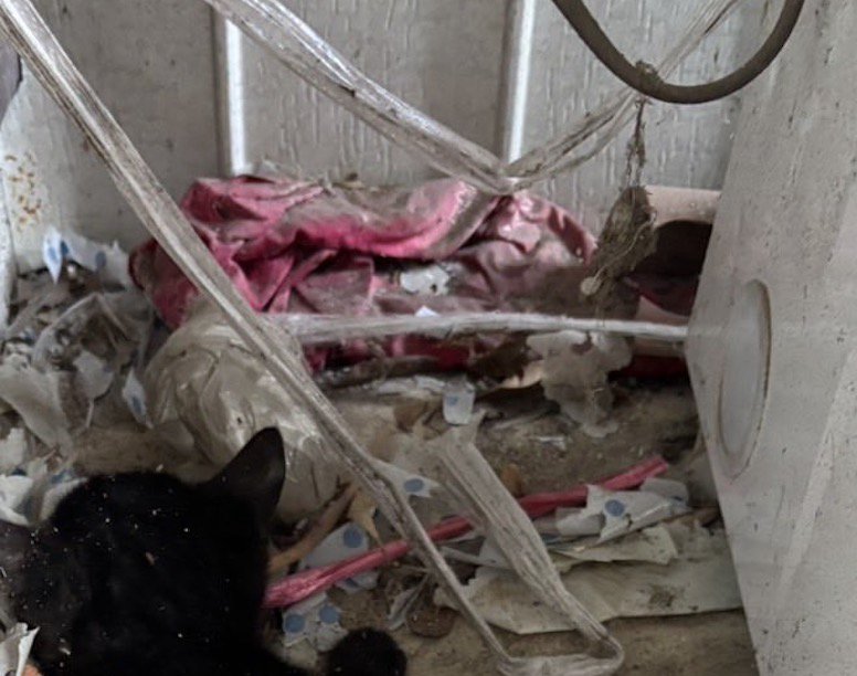 壁の隅に集まっているゴミ