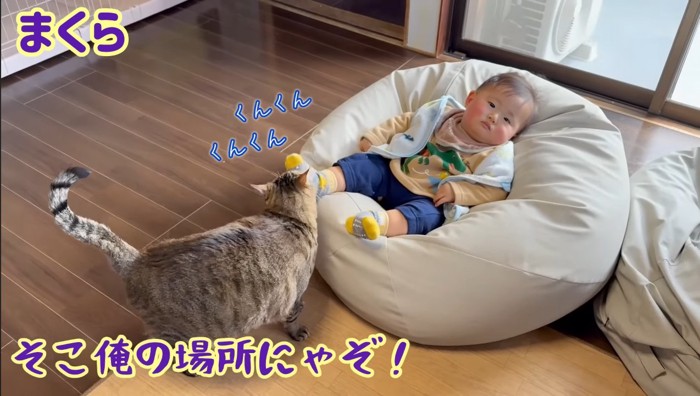 俺の場所にゃぞ!