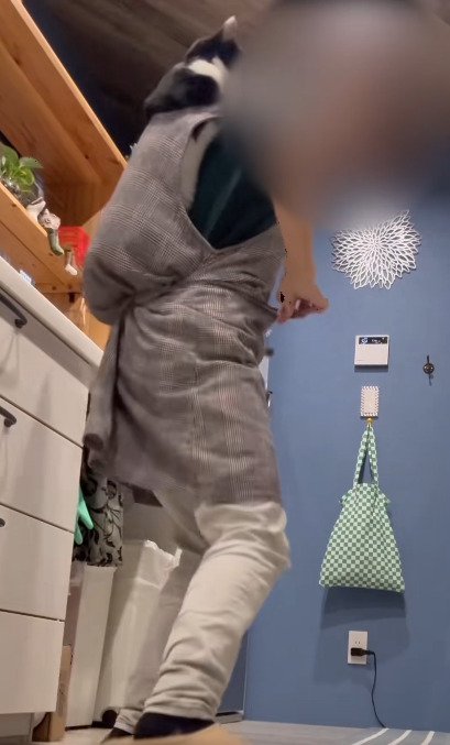 おんぶされる猫