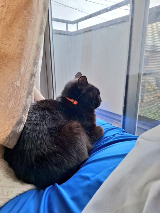 お見送りしたジェイクくん