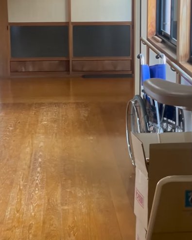 猫が走り去り廊下のみ