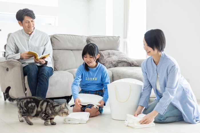 洗濯物をたたむ親子と猫
