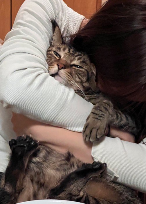女性に抱きしめられて目を細める猫
