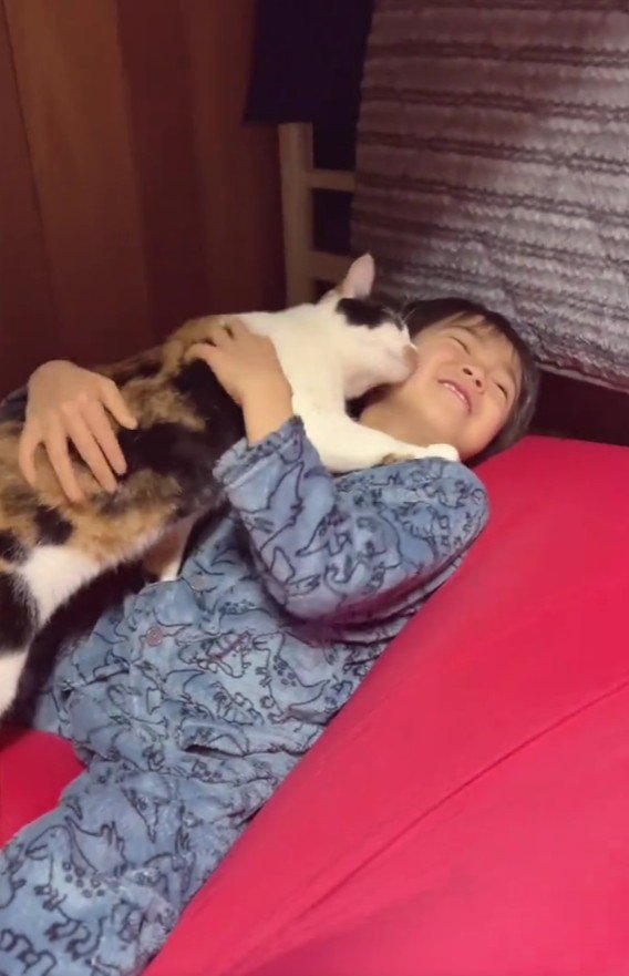 ベッドの上の男の子と猫