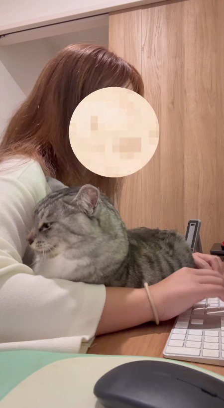 猫を腕の間に入れてパソコン作業をする女性