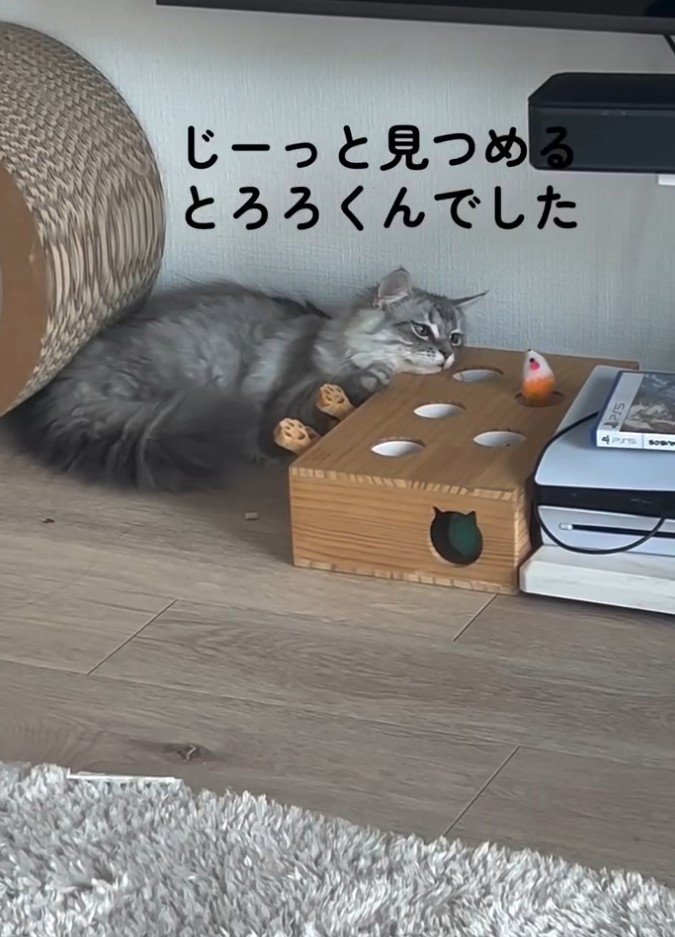 「じーっと~」と書かれた写真