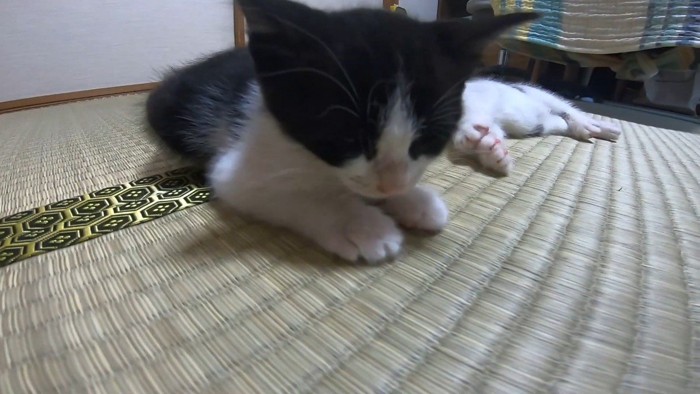 うつらうつら