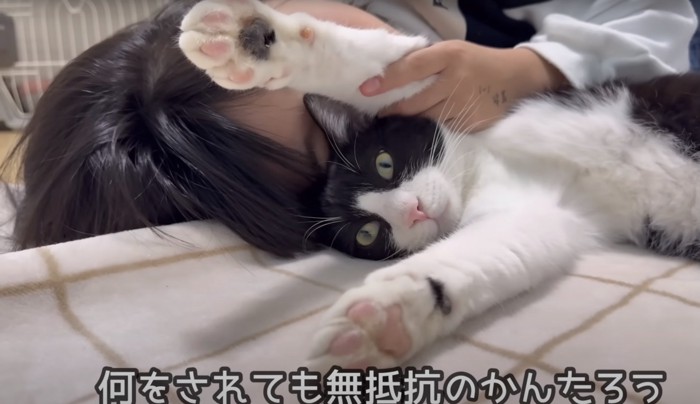 左腕をつかまれたまま女の子にくっつかれる猫