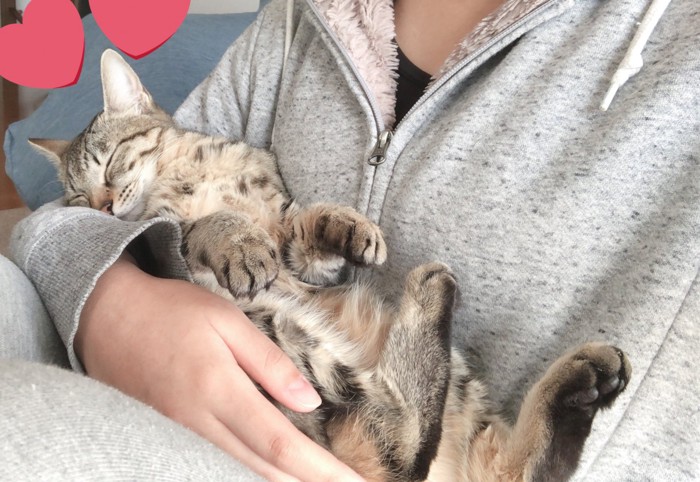 抱っこされるメルちゃん