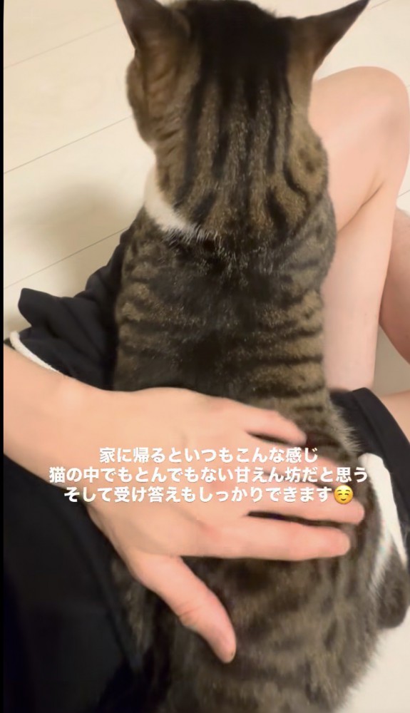 まっすぐ向きながらお尻を撫でられる猫「ずっと一緒にいてあげるにゃ」
