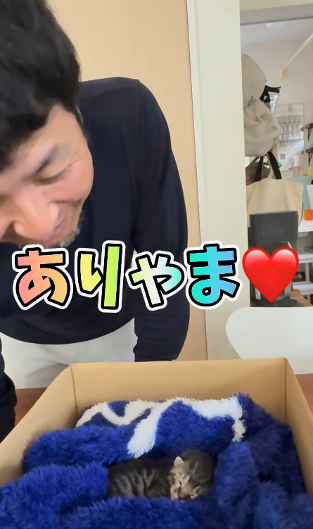 段ボールの中にいる子猫を覗く男性「ありゃま♡」