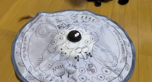 床に置かれたおもちゃ
