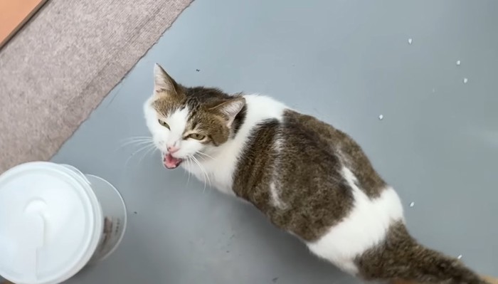 お出迎え