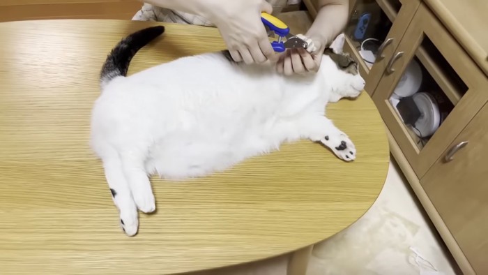 寝転がりながらの爪切り