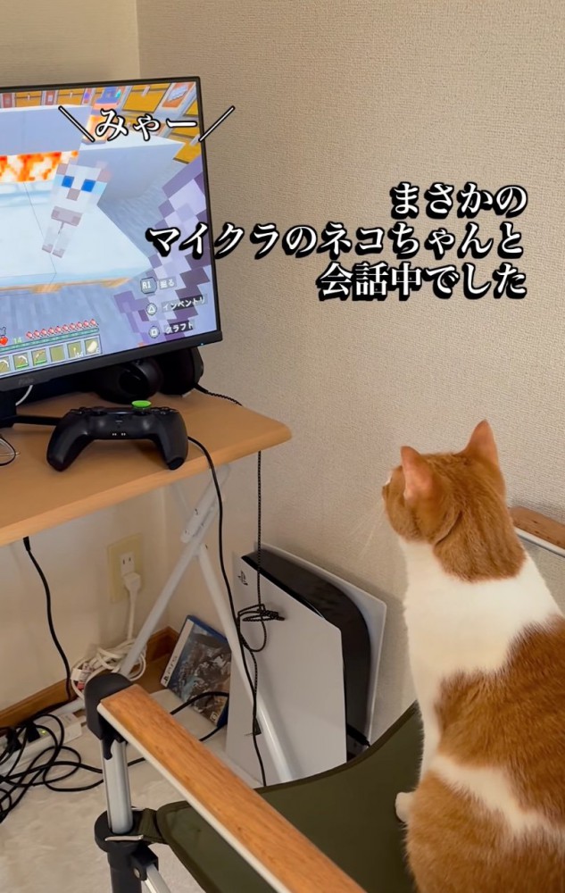 マイクラ猫と会話する猫