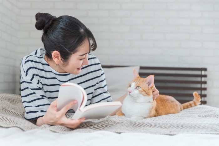 猫に優しく話しかける女性