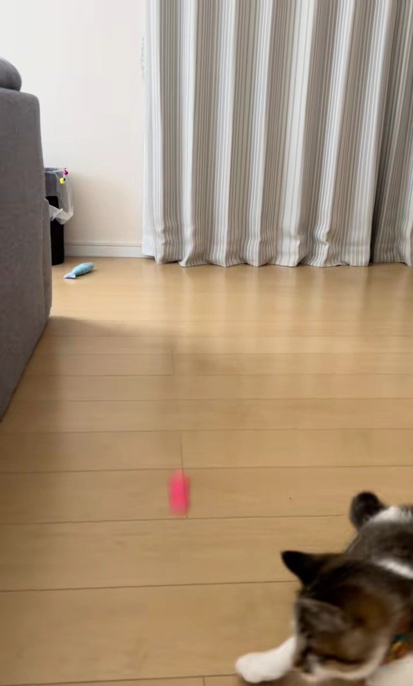 スーパーボールとあきくん