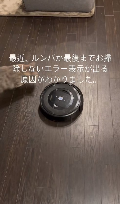 ルンバに駆け寄るブレた猫