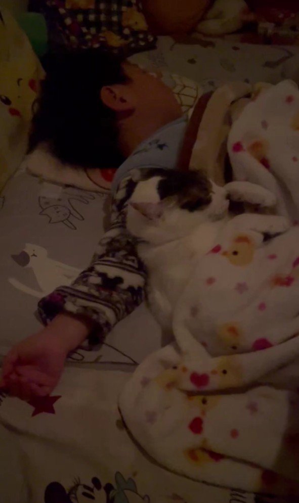 猫と寝る男の子