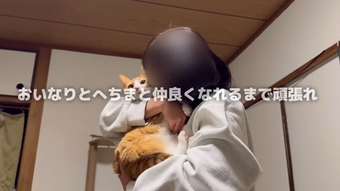 猫を抱く女性