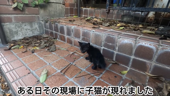 「ある日その現場に...」のテロップ写真