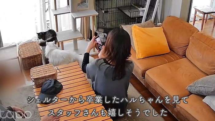 テロップ「シェルターから卒業した~」