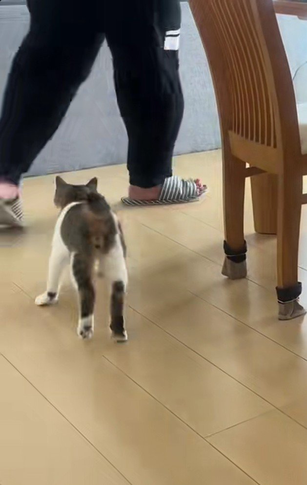 パパさんを追いかけるあきくん