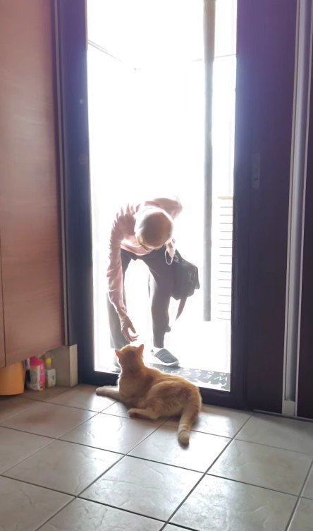 おじいちゃんを出迎える猫