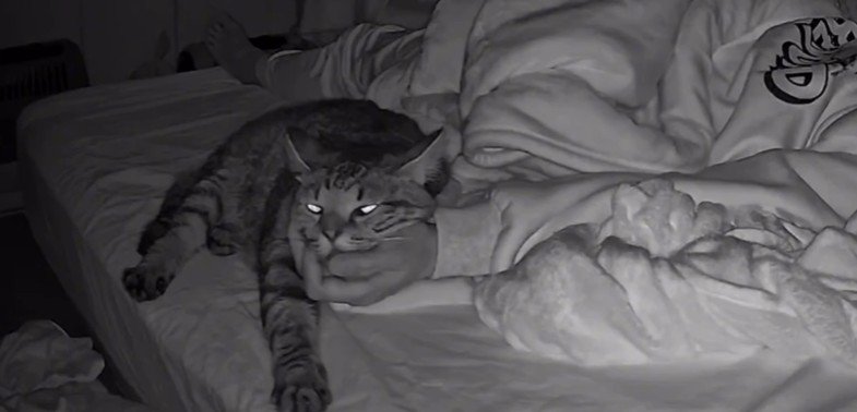 寝ている飼い主と猫