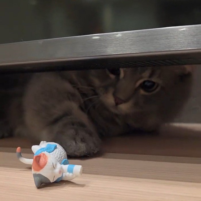 人形に前足を伸ばす猫