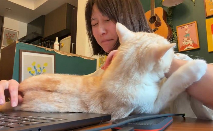 飼い主の腕をホールドして噛む猫