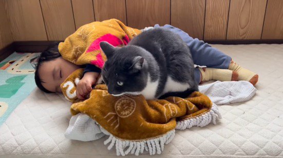 赤ちゃんの隣に腰掛ける猫