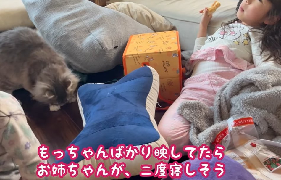 伏せる猫と横になる子供