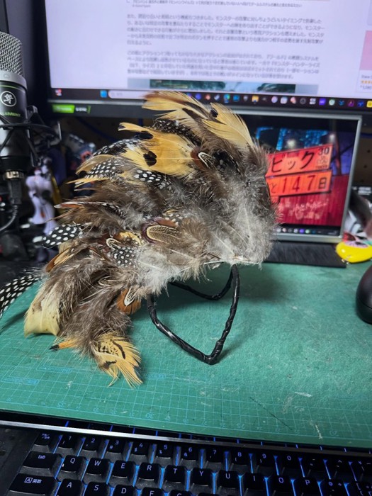 羽がたくさんついたもの