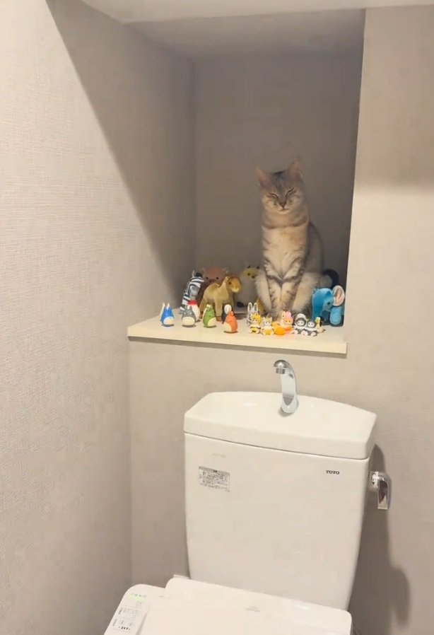 眩しそうな表情になるルナちゃん