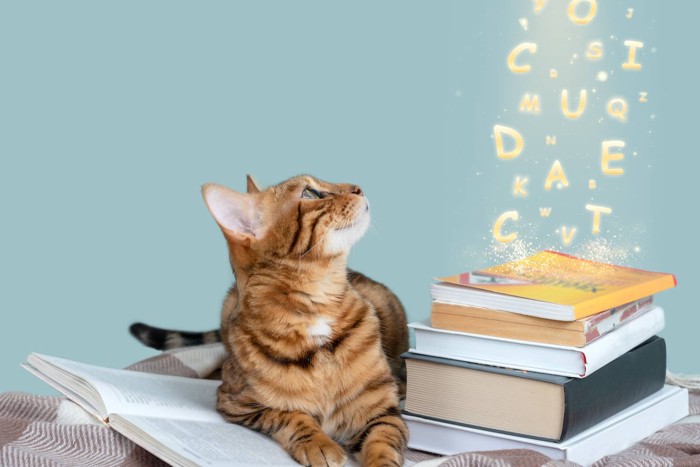本から飛び出す文字と猫