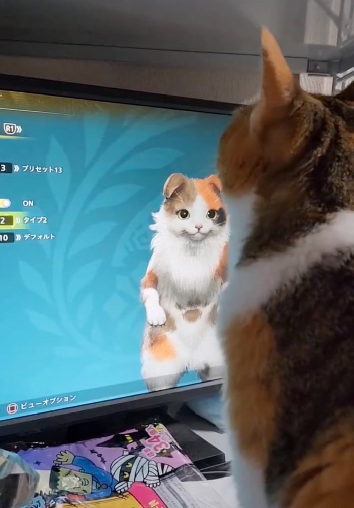 画面の猫にお返事する猫