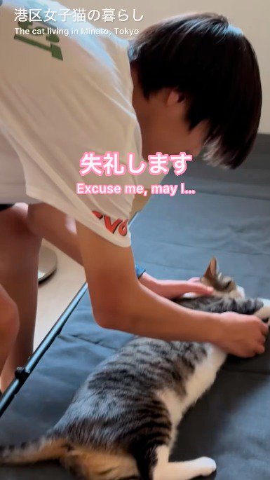 横になっている猫に触れる男の子