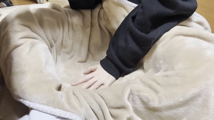 猫ちゃんが去ったあとのお膝（あぐら）