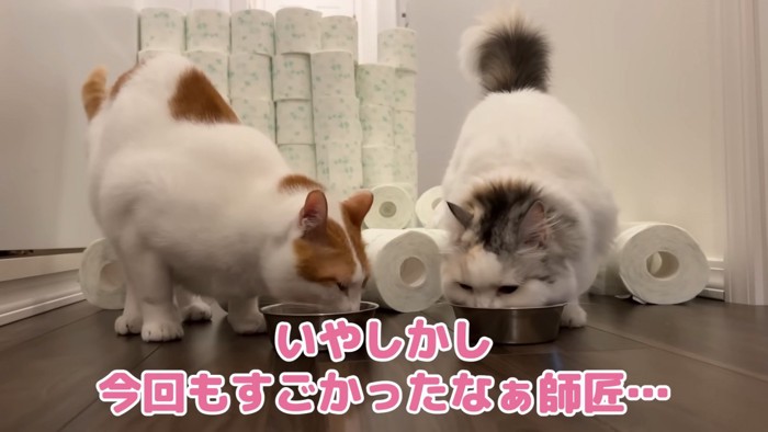 なかよくオヤツを食べる2匹